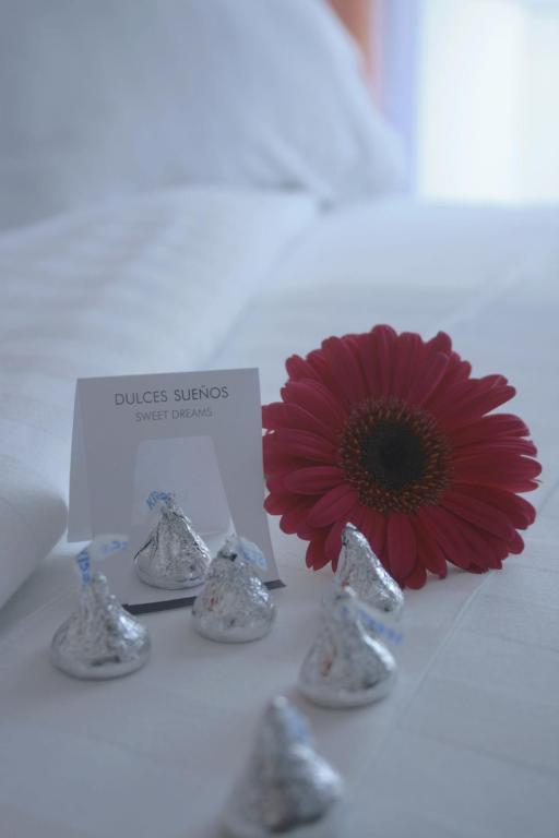 Hotel Lugano Suites Μπογκοτά Εξωτερικό φωτογραφία